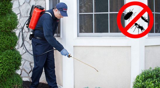 Arapgir Tahtakurusu İlaçlama böcek ilaçlama ve haşere kontrolü — ilaclama-tr.com